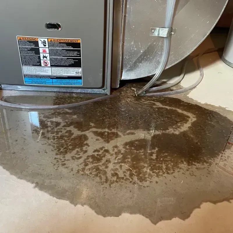 Appliance Leak Cleanup in Spackenkill, NY